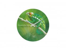 Часы настенные Nicole Time NT503 в Толмачёво - tolmachyovo.mebel-nsk.ru | фото