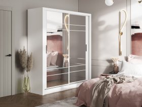 Шкаф-купе Дрим-1 2,0м (белый) в Толмачёво - tolmachyovo.mebel-nsk.ru | фото